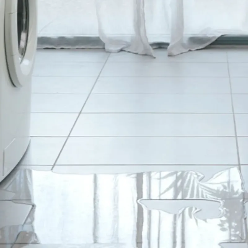Appliance Leak Cleanup in Mineral Wells, WV