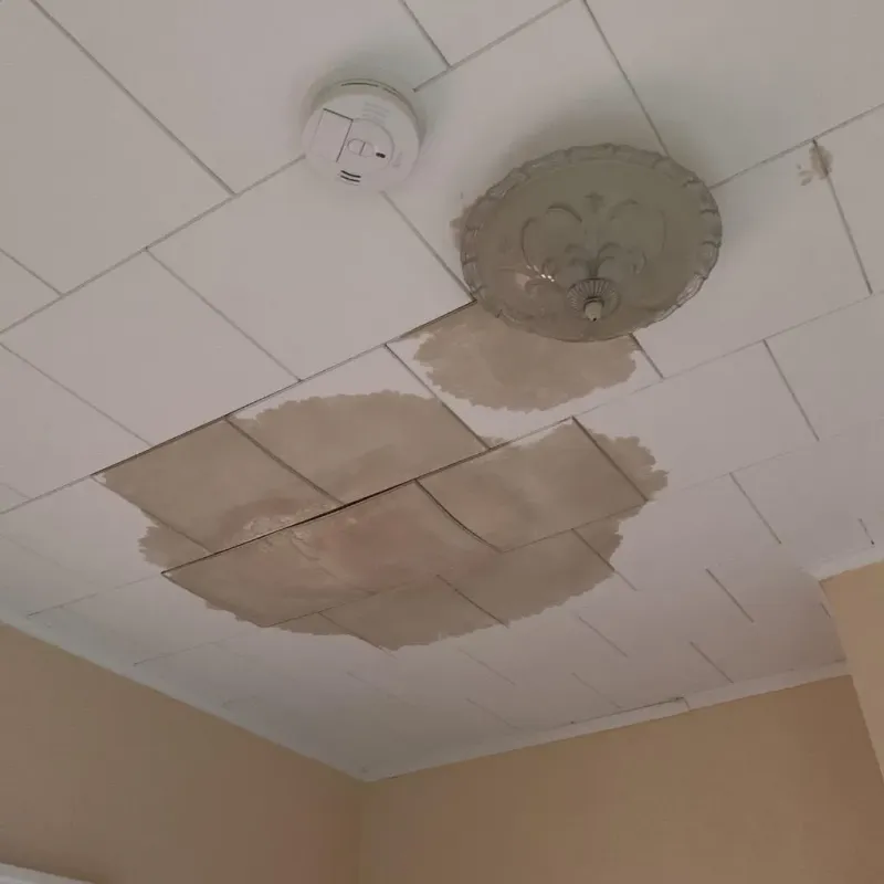 Ceiling Water Damage Repair in Mineral Wells, WV