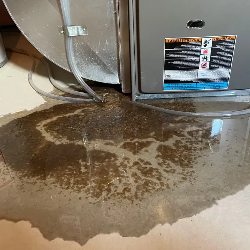 Pipe Burst and Leak Restoration in Mineral Wells, WV