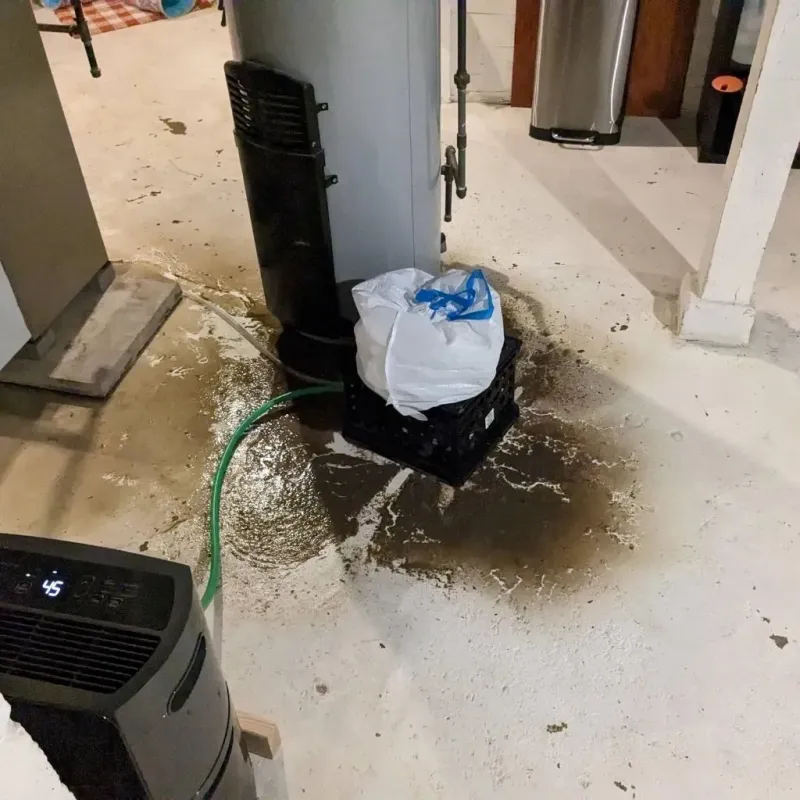 Sewage Backup Cleanup Service in Mineral Wells, WV